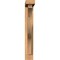 Ekena Millwork Funston Block Smooth Bracket w/ Offset Brace, Western Red Cedar, 3 1/2"W x 16"D x 24"H BKT0402X16X24FST05SWR - alternate 2